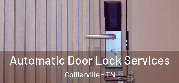 Automatic Door Lock Services Collierville - TN