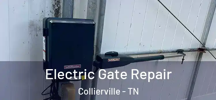 Electric Gate Repair Collierville - TN