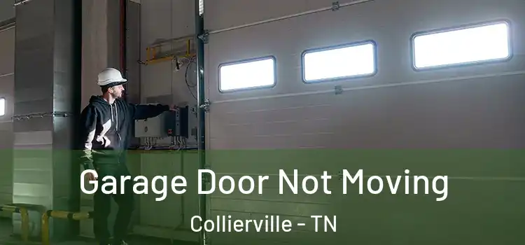  Garage Door Not Moving Collierville - TN