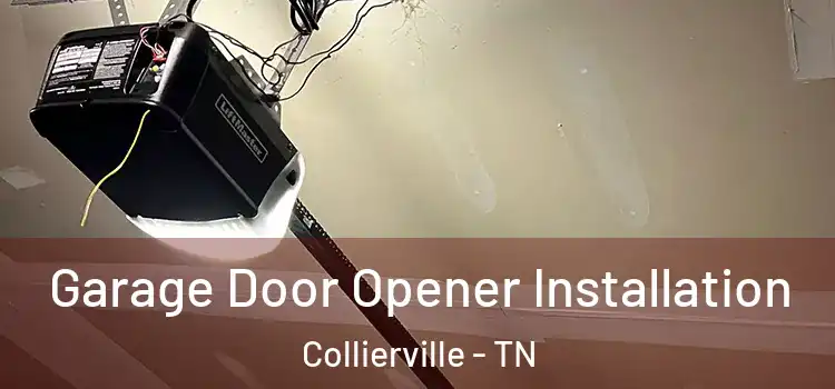  Garage Door Opener Installation Collierville - TN