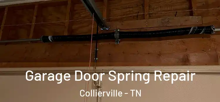  Garage Door Spring Repair Collierville - TN