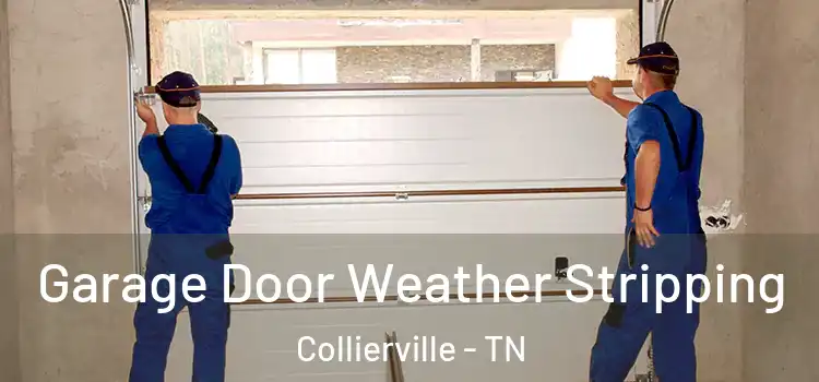 Garage Door Weather Stripping Collierville - TN