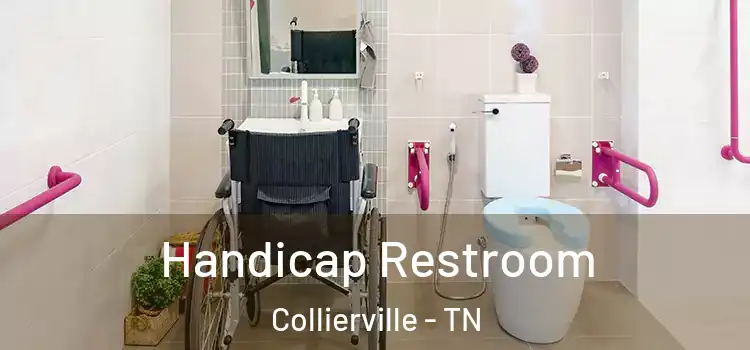 Handicap Restroom Collierville - TN
