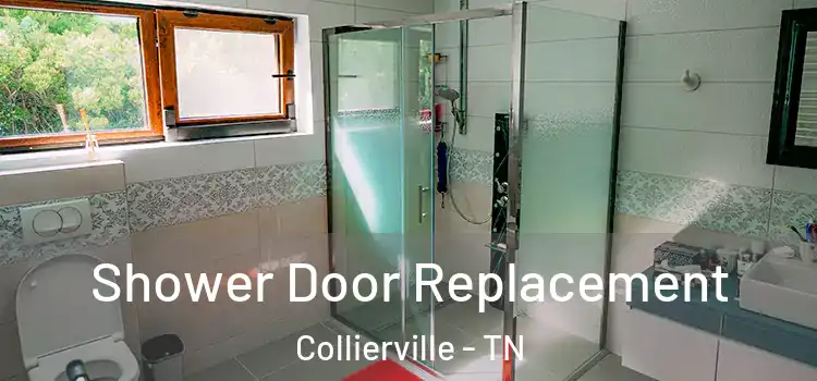Shower Door Replacement Collierville - TN