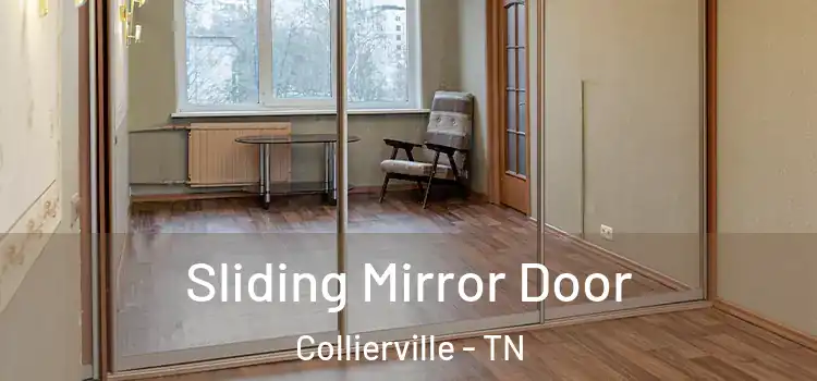  Sliding Mirror Door Collierville - TN